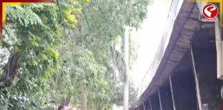 খেলতে খেলতেই মর্মান্তিক মৃত্যু, হেস্টিংসে হাইমাস্টের আলো ভেঙে প্রাণ গেল শিশুর!
