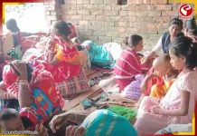 রাজ্যের হোল্ডিং সেন্টারে ৩৮৬ জন অনুপ্রবেশকারী, সবচেয়ে বেশি বসিরহাটে!