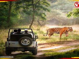 অনির্দিষ্টকালের জন্য বন্ধ হয়ে গেল জিম করবেট সাফারি