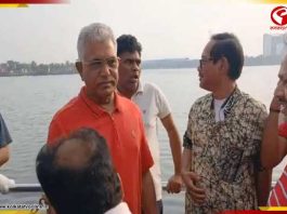 ‘হাজার হাজার সোনা পাপ্পু ঘুরে বেড়াচ্ছে’, বিস্ফোরক দিলীপ ঘোষ