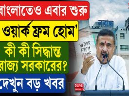 বাংলাতেও এবার শুরু ‘ওয়ার্ক ফ্রম হোম’, কী কী সিদ্ধান্ত রাজ্য সরকারের?
