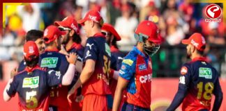 ভেঙ্কটেশের ঝড়, কোহলির ক্লাস! পাঞ্জাবকে হারিয়ে প্রথম দল হিসেবে প্লে-অফে বেঙ্গালুরু