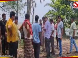 বাসন্তীর ফিশারিতে দুষ্কৃতীর ডেরা! উদ্ধার বিপুল পরিমাণ অস্ত্র