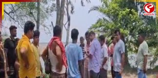 বাসন্তীর ফিশারিতে দুষ্কৃতীর ডেরা! উদ্ধার বিপুল পরিমাণ অস্ত্র