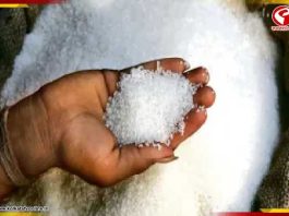 যুদ্ধের আবহে চিনির রপ্তানিতে কড়া নিষেধাজ্ঞা কেন্দ্রের