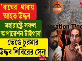 বাঘের থাবায় আহত উদ্ধব! মহারাষ্ট্রে সফল ‘অপারেশন টাইগার’! ভেঙে চুরমার উদ্ধবের শিবসেনা?