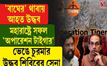 বাঘের থাবায় আহত উদ্ধব! মহারাষ্ট্রে সফল ‘অপারেশন টাইগার’! ভেঙে চুরমার উদ্ধবের শিবসেনা?