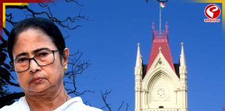 কী কারণে বন্ধ ৩ অ্যাকাউন্ট? প্রশ্ন তুলে হাইকোর্টে ‘কালীঘাট তৃণমূল’