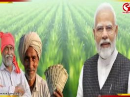 ফসল নষ্ট হলে মিলবে আর্থিক সুরক্ষা! রাজ্যে চালু প্রধানমন্ত্রী ফসল বিমা যোজনা