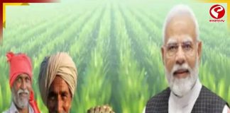 ফসল নষ্ট হলে মিলবে আর্থিক সুরক্ষা! রাজ্যে চালু প্রধানমন্ত্রী ফসল বিমা যোজনা