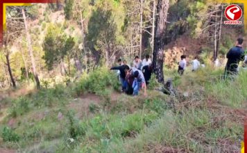 নিয়ন্ত্রণ হারিয়ে গভীর খাদে পড়ল গাড়ি, মর্মান্তিক ঘটনা হিমাচলে
