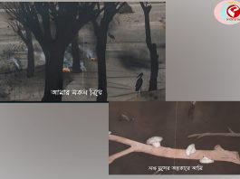 রবীন্দ্রনাথের গানে নতুন দিগন্ত, রক্তকরবী রাজা ও অচলায়তনের ভাবনায় তৈরি ‘আলাপ’