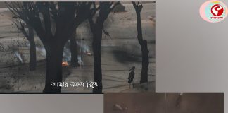 রবীন্দ্রনাথের গানে নতুন দিগন্ত, রক্তকরবী রাজা ও অচলায়তনের ভাবনায় তৈরি ‘আলাপ’