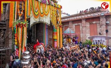 পদপিষ্ট হয়ে মৃত্যু, ভিড়ের চাপে থামল জগন্নাথের রথ, শুক্রবার ফের শুরু হবে গুণ্ডিচা যাত্রা