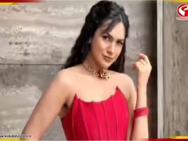 ‘বিয়ের আগে মেয়েদের সঙ্গেও সম্পর্কে ছিলাম’, উভকামী হওয়ার কথা অকপটে স্বীকার আকাঙ্ক্ষা চামোলার