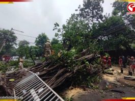 রাতভর বৃষ্টিতে নাকাল কলকাতা, জলমগ্ন একাধিক এলাকা