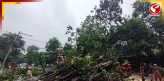 রাতভর বৃষ্টিতে নাকাল কলকাতা, জলমগ্ন একাধিক এলাকা