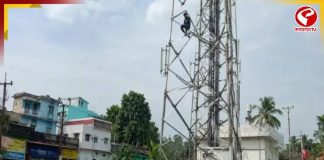 ৮ ঘণ্টা টাওয়ারের চূড়ায় ‘বাদশা’, বৃষ্টি উপেক্ষা করে রাত সাড়ে ১১টায় সফল উদ্ধার