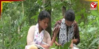 নেটওয়ার্ক পেতে পাহাড়ে উঠে পড়াশোনা, NEET-এ সফল দুই বোন