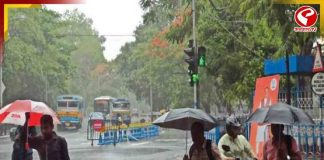 দক্ষিণবঙ্গে কমছে বৃষ্টির দাপট, তবে কি এবার বিদায়ের পথে বর্ষা? কী বলছে হাওয়া অফিস