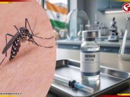 ২০২৭-এই ভারতে আসতে পারে দেশীয় ডেঙ্গুর টিকা! এক ডোজেই চার ধরনের ভাইরাসের বিরুদ্ধে লড়াই