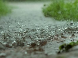 দিনদুপুরেই আকাশ কালো, বজ্রবিদ্যুৎ সঙ্গী করে এল বৃষ্টি
