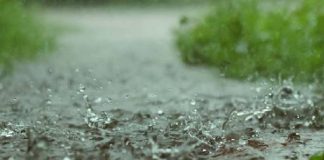 দিনদুপুরেই আকাশ কালো, বজ্রবিদ্যুৎ সঙ্গী করে এল বৃষ্টি