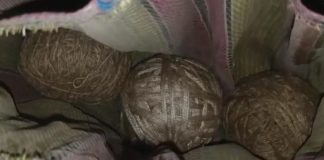 ভোটের আগের রাতেই নন্দীগ্রামে বোমাবাজি! বিজেপি বুথ সভাপতির বাড়ির সামনে উদ্ধার তাজা বোমা, অভিযোগ তৃণমূলের বিরুদ্ধে