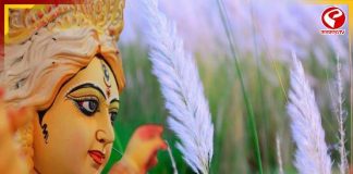 পুজোর চার দিন বৃষ্টির ভ্রুকুটি নেই? দক্ষিণবঙ্গে স্বস্তির পূর্বাভাস, উত্তরেও বদলাবে আবহাওয়া