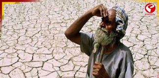 মহারাষ্ট্রে খরার জেরে বিপর্যস্ত কৃষকরা, সাহায্যে এক দিনের বেতন দান করবেন আইএএস-আইপিএস আধিকারিকরা